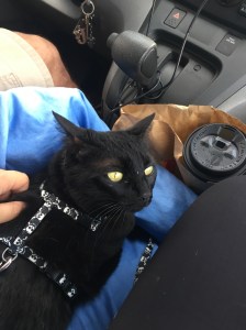 UNADJUSTEDNONRAW_thumb_5d3